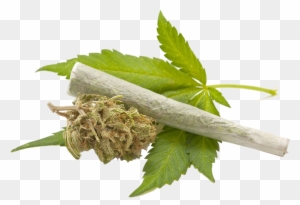 Medical Cannabis Cannabis Smoking Legality Of Cannabis - Get Smart About Marijuana