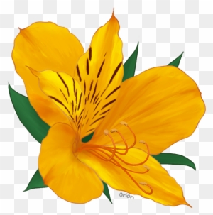 Alstroemeria By Beta-orionis - Peruvian Lily - Free Transparent PNG Clipart  Images Download