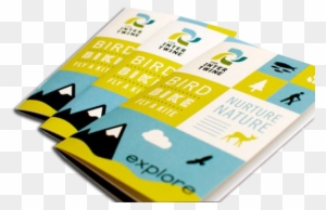 Available Paper Stock - Tourism Brochure Flyer Design