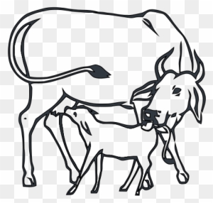 Hand Drawing A Picture Clipart For Kids - Congress Party Symbol Cow And Calf