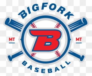 Bigfork Youth Baseball Association Endeavors To Instill - Silicon Valley