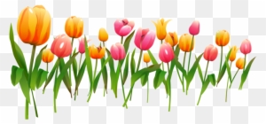 Multicolor Tulips - Frame Spring