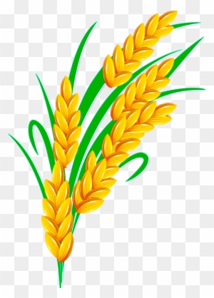 Rice Grain Clipart, Transparent PNG Clipart Images Free Download