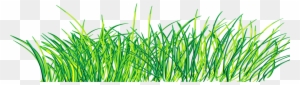 Green Clip Art - Green Grass Png Pinting