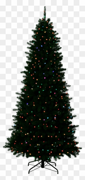 Christmas Outside Transparent Background - Christmas Tree With No Decorations
