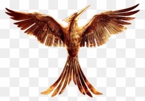 Allheartsgoboom The Hunger Games - Hunger Games Mockingjay Bird