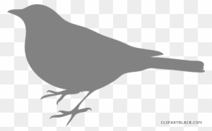 Baby Bird Animal Free Black White Clipart Images Clipartblack - Bird Silhouette Clip Art
