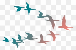 Colorful Birds Flying Clipart
