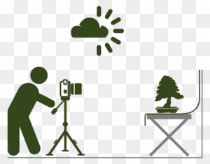 Place The Tree Against A Neutral Background - Camera Vector Side View