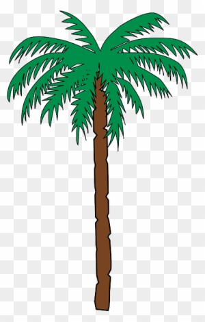 Tall Palm Tree - Haiti Coat Of Arms