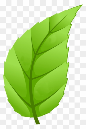 Healthy Communities - Leaf Of Tree Png