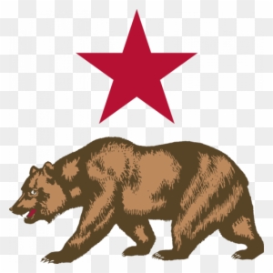 Vector Image Of Bear And Star - New California Republic Flag