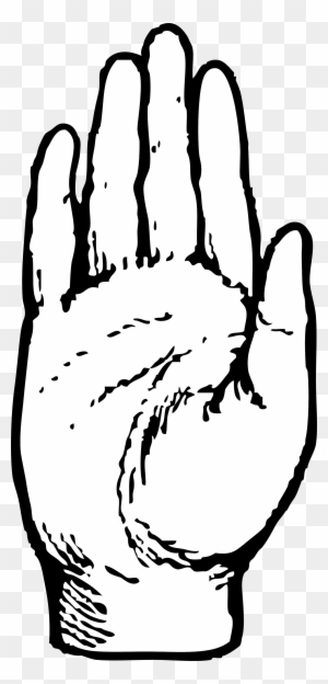 palm hand drawing