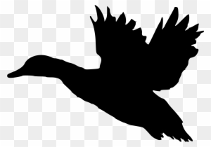 Fileduck Sotka1 - Flying Duck Silhouette Clip Art