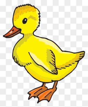 ducks eating clip art