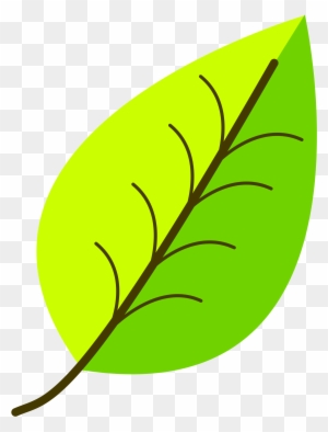 Leaf- With Venation, Two Color - Leaf Clipart Png
