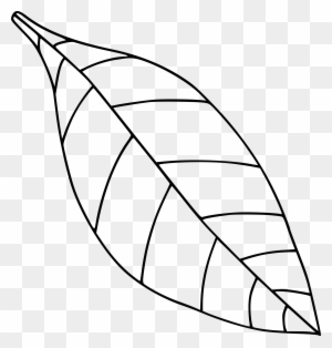 Big Image - Leaf Clipart Black And White Png