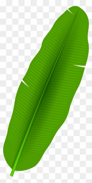 Exotic Palm Leaf Transparent Png Clip Art - Banana Leaf Clipart Png