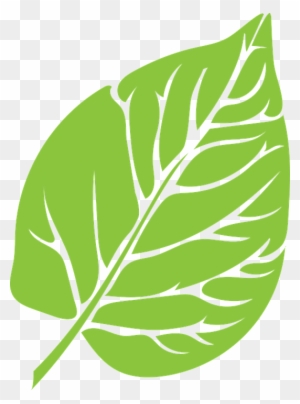 Leaf Green Lush Growth Green Leaf Green Le - Vectoresd E Arboles Animados Con Circulos