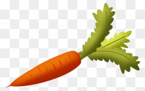 Carrot With Green Leaves Clipart Isolated Stock Photonobacks - Carrot Png