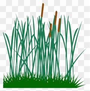 Tall Grass Clip Art Png Image - Tall Grass Vector