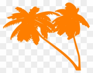 Palm Trees Vector Png