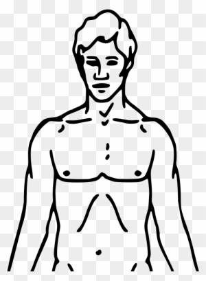 Person Body Clipart Outline Printable Free Download - Chemical Basis Of Love