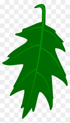 Ivy Clipart Big Leaf - Green Oak Leaf Clip Art