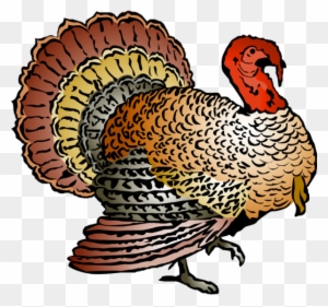 Turkey Free Thanksgiving Clipart Clip Art Pictures - Wild Turkey Clipart