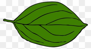 Green Pumpkin Leaf Clipart Free Clipart Images - Leaf Drawing Clip Art