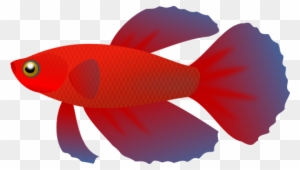 No Fish Cliparts Free Download Clip Art Free Clip Art - Fish Clip Art Transparent Background