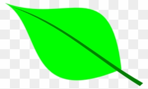 Small Leaf Clip Art - Green Leaf Clip Art
