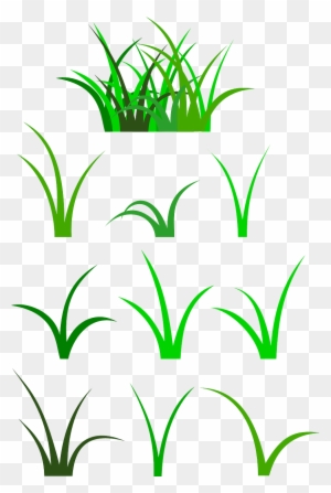 Medium Image - Blade Of Grass Clip Art