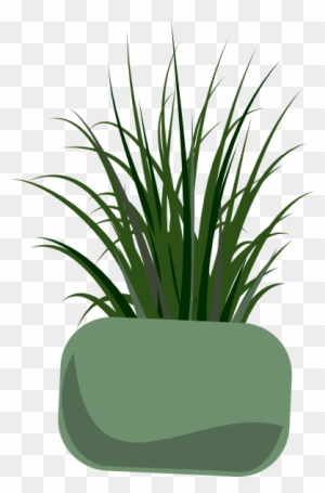 Grass Plant Clip Art