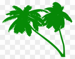 Palms, Coconut Tree, Coconut Palms - Green Palm Tree Vector