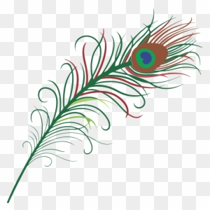 Peacock Clipart - Transparent Background Peacock Feather