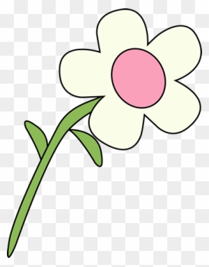 Single White Flower - Natural And Manmade Resources