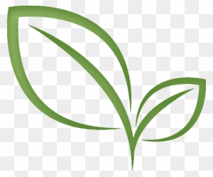 Eco leaf green tree tea leaf and nature leaf logo v21