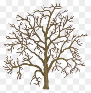 Drawn Dead Tree Dead Plant - Family Tree