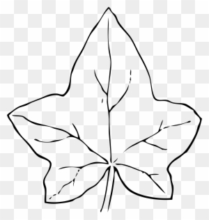 Ivy Leaf Clip Art - Leaf Clip Art