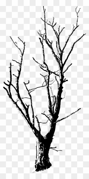 Drawn Dead Tree Dead Flower - Dead Tree Black And White