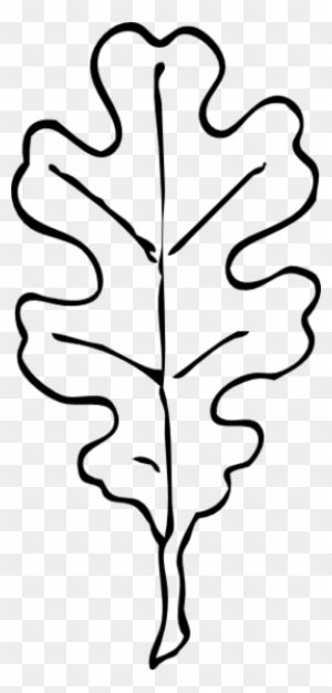 Leaf Outline Cliparts - Oak Leaf Clip Art Black And White