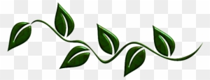 Green Leaves Png By Melissa-tm - Portable Network Graphics
