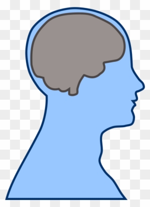 Brain Human Man - Blue Brain Clip Art