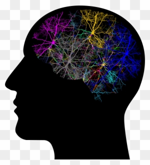 Big Image - Brain In Head