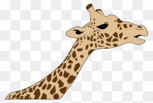 Big Image - Giraffe Clipart