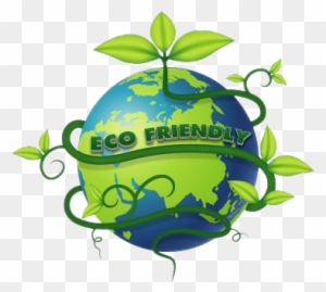 Eco Friendly Beauty - Mobile Auto Detailing Prices