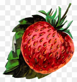Digital Strawberry Clip Art Downloads - Illustration