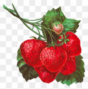 Pretty Digital Strawberry Clip Art In Gorgeous Detail - Illustration