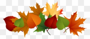 Transparent Autumn Clipart Collection - Fall Leaves Transparent Background